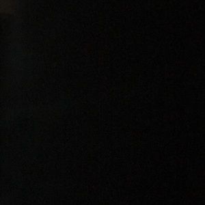 Meet your Posher, Sammy